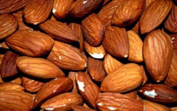 5 Makanan Penurun Kolesterol Tinggi yang Baik untuk Jantung