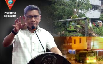 Wali Kota Ambon Instruksikan Penanganan Terintegrasi Pasca Insiden Pohon Tumbang