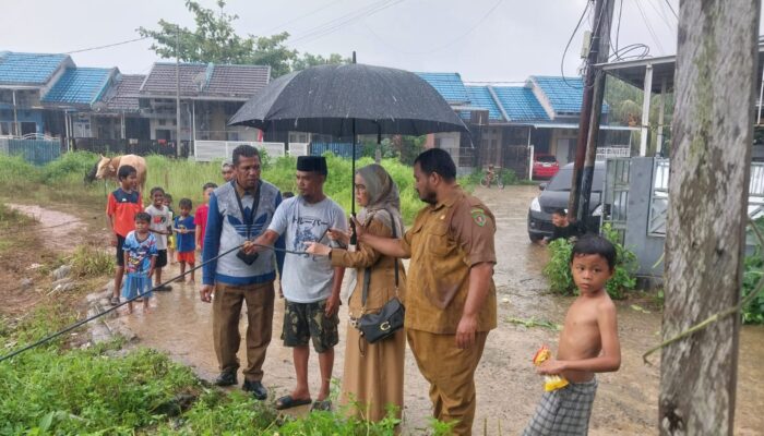 Sambut Iduladha, DPRD Maluku Salurkan Hewan Kurban ke Masjid Jabal Nur Batu Merah