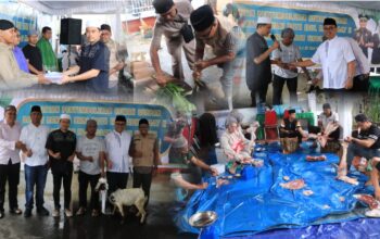 IDUL ADHA 1447 H, KEJATI MALUKU TEBAR KEPEDULIAN LEWAT PENYEMBELIHAN HEWAN KURBAN, 18 SAPI DAN 3 KAMBING