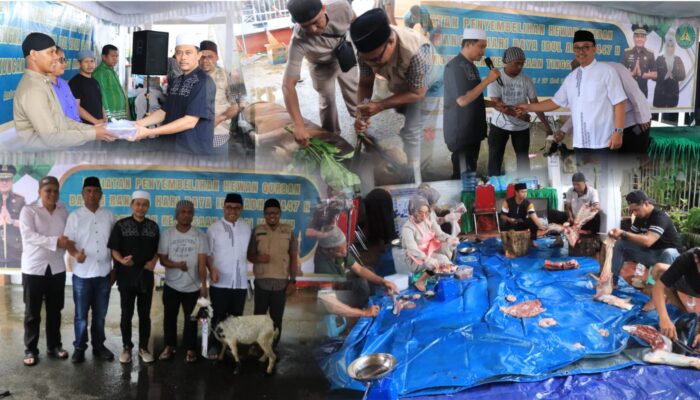 IDUL ADHA 1447 H, KEJATI MALUKU TEBAR KEPEDULIAN LEWAT PENYEMBELIHAN HEWAN KURBAN, 18 SAPI DAN 3 KAMBING