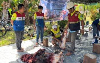 Pertamina Patra Niaga Papua Maluku Berbagi Keberkahan Iduladha dan Salurkan Hewan Kurban untuk Masyarakat