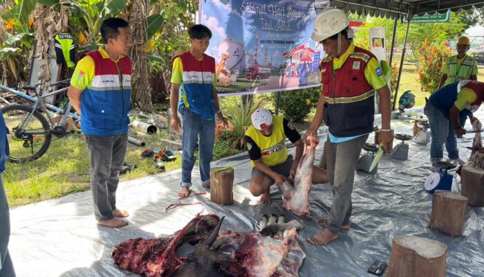 Pertamina Patra Niaga Papua Maluku Berbagi Keberkahan Iduladha dan Salurkan Hewan Kurban untuk Masyarakat