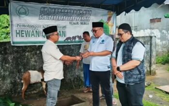 DLHP Kota Ambon Salurkan Hewan Kurban ke Masjid Al Anshor, Ajak Warga Kurban Ramah Lingkungan