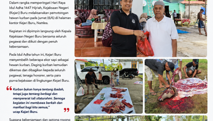 Kejari Buru Gelar Pemotongan Hewan Kurban Idul Adha 1447 H, Daging Dibagikan ke Pegawai hingga Purna Kejaksaan