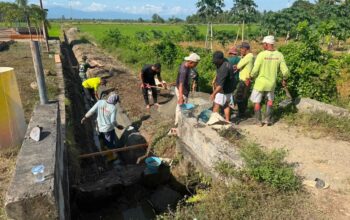 TNI dan Warga Bersihkan Irigasi di Waetele, Perkuat Ketahanan Pangan dari Sawah Rakyat